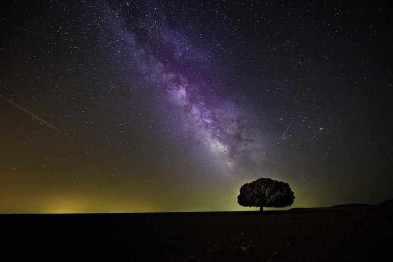 Secrets of the Stars